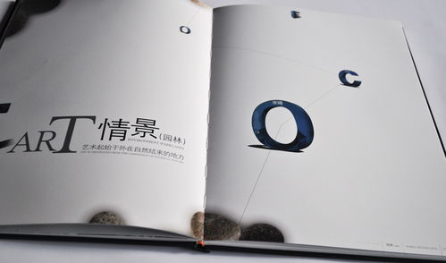 澳城楼书 深圳专业广告设计与品牌形象塑造的领军者