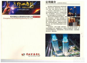 高端品牌策划与VI设计 塑造企业形象的视觉之道